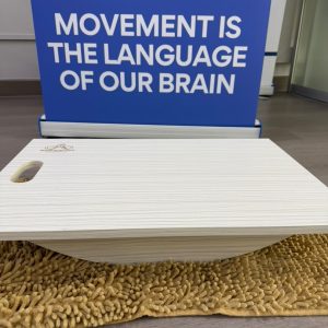 Movexercise8 Brain Balance Board - Image 2