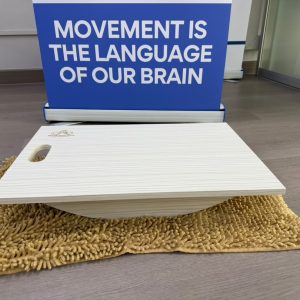 Movexercise8 Brain Balance Board - Image 1